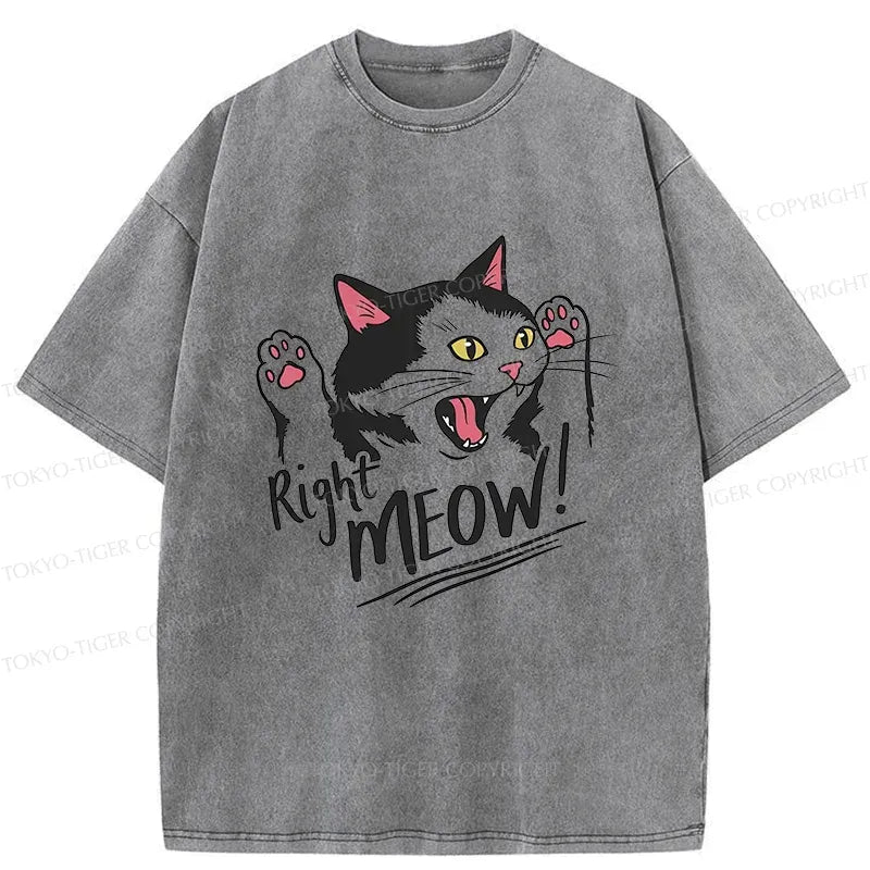 Kyoto Lion Unisex T-Shirt Gift Idea