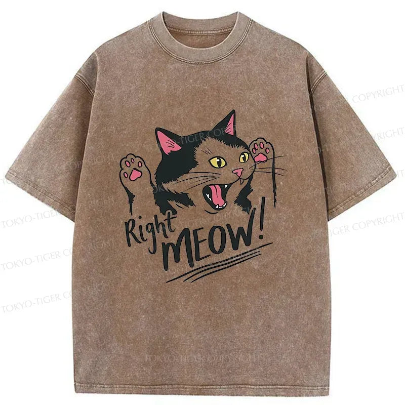 Funny Japanese Washed T-Shirt for Summer