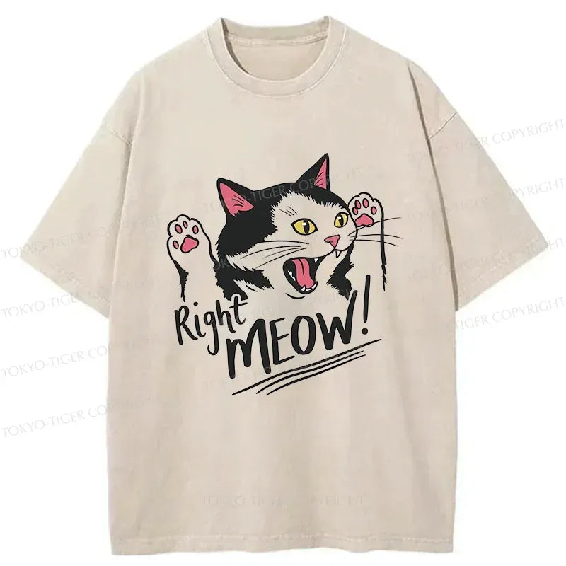 Kyoto-Lion Right Meow Funny Washed T-Shirt