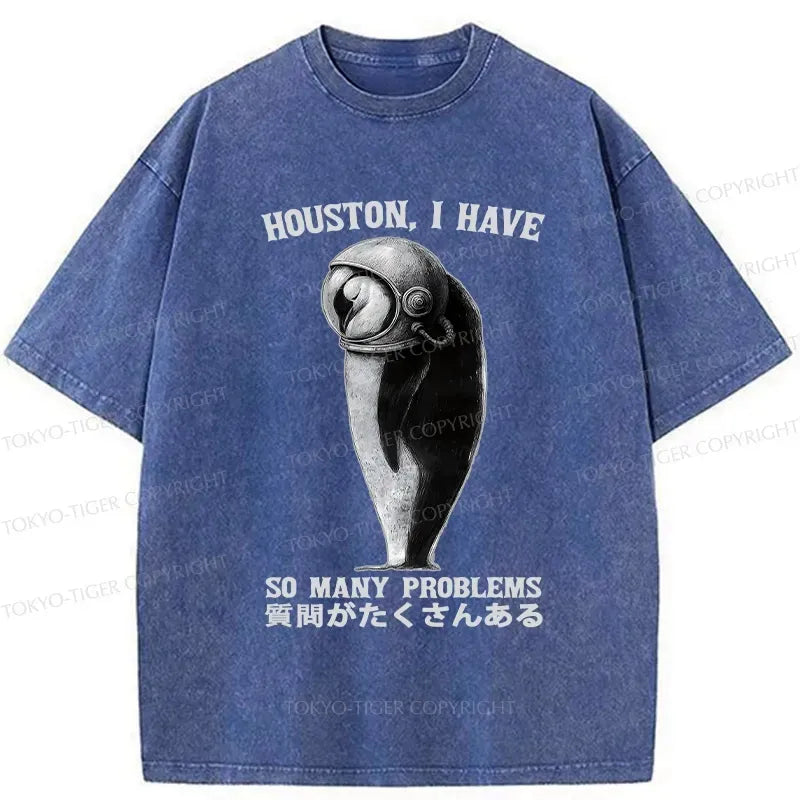 Kyoto lion washed t-shirt for streetwear