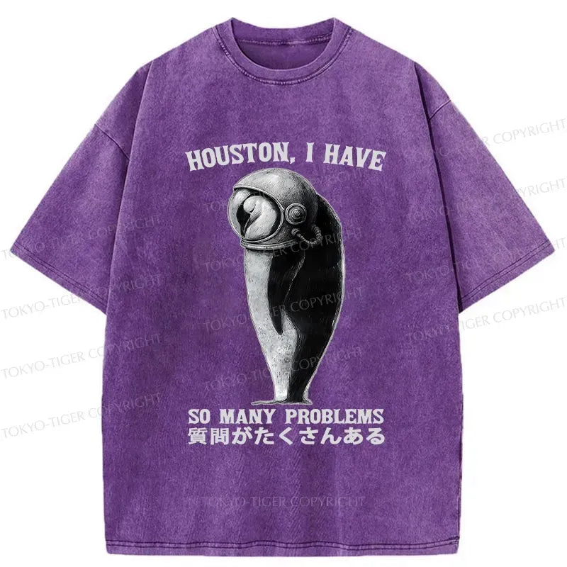 Kyoto lion washed t-shirt for streetwear