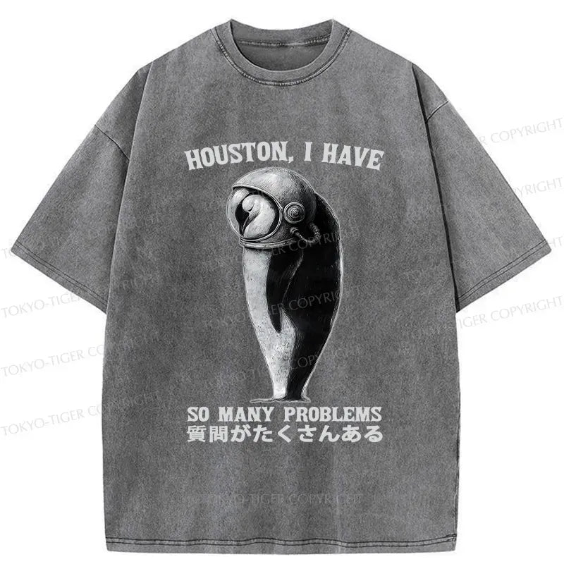 Kyoto-Lion I Have So Many Problems Washed T-Shirt