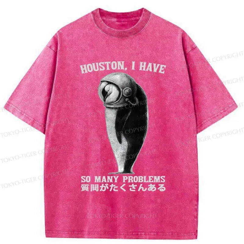 Kyoto-Lion I Have So Many Problems Washed T-Shirt