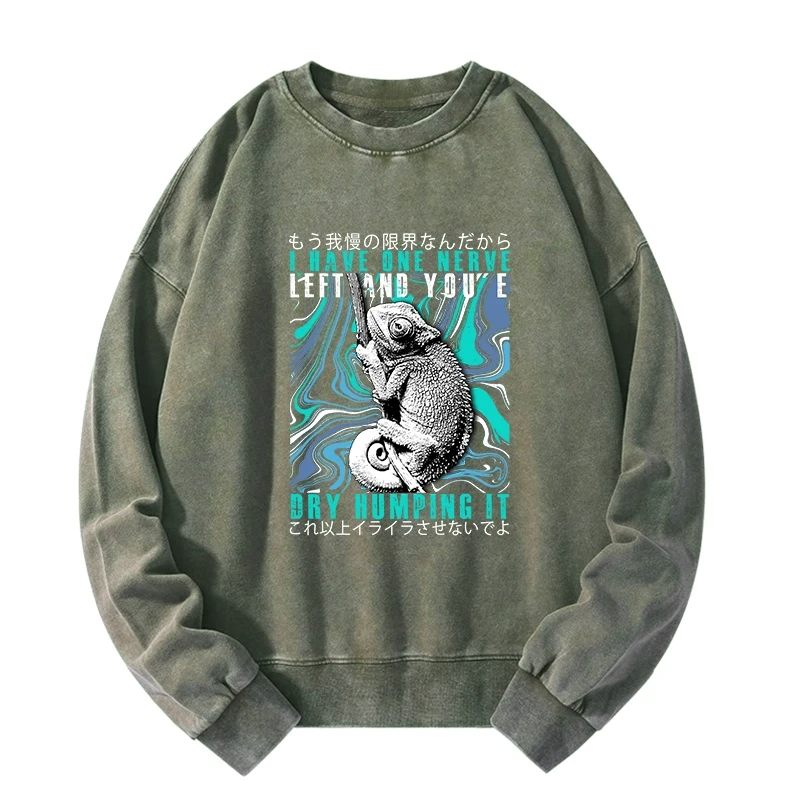Japanese chameleon washed sweatshirt