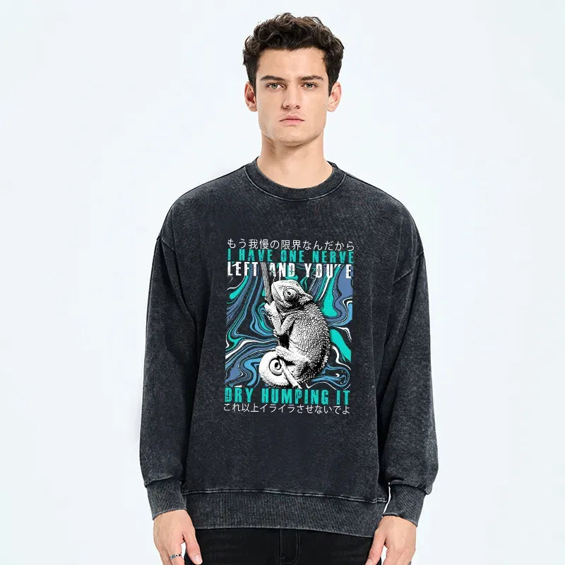 Japanese chameleon washed sweatshirt