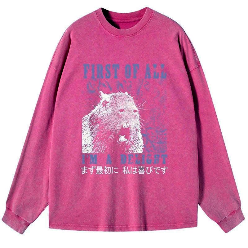 japanese washed long sleeve t-shirt