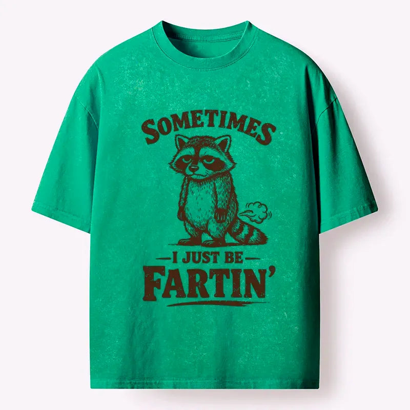 Funny Raccoon T-Shirt Gift Idea