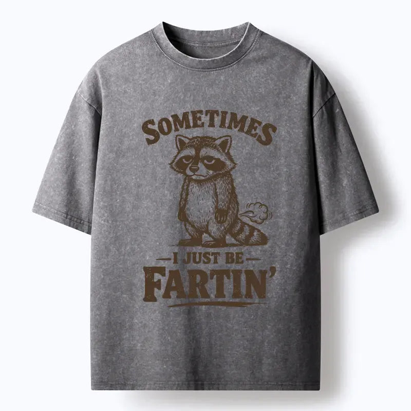 Kyoto-Lion Farting Raccoon Washed T-Shirt