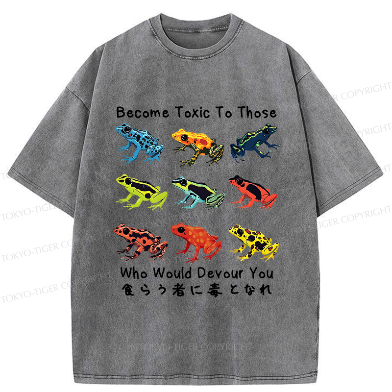 kyoto lion frog tee for streetwear