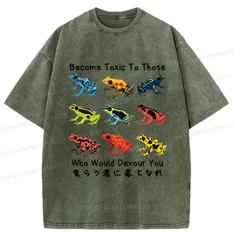 kyoto lion frog tee for streetwear