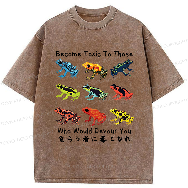 kyoto lion frog tee for streetwear