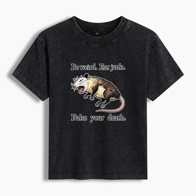 Japanese Streetwear Possum Graphic T-shirt