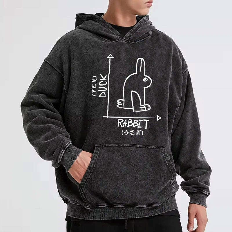 Kyoto-Lion A Rabbit And A Duck Washed Hoodie