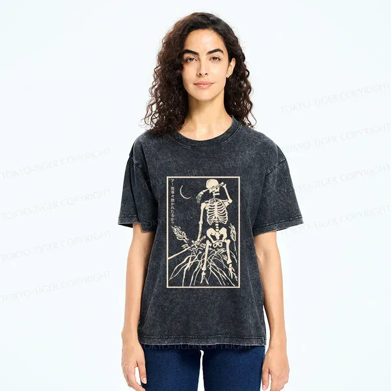 Kyoto Lion washed Japanese t-shirt for daily wear