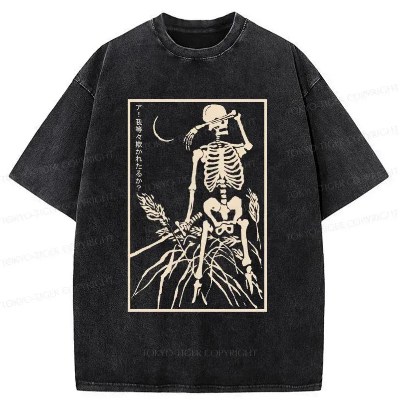 Kyoto Lion washed Japanese t-shirt for daily wear