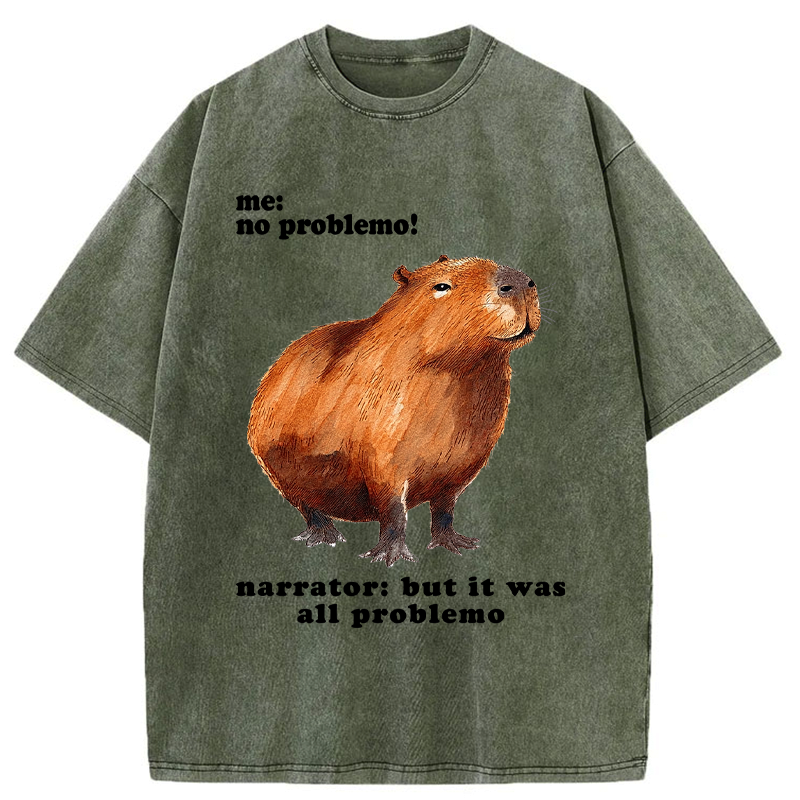 Kyoto-Lion All Problemo, No Panic Washed T-Shirt