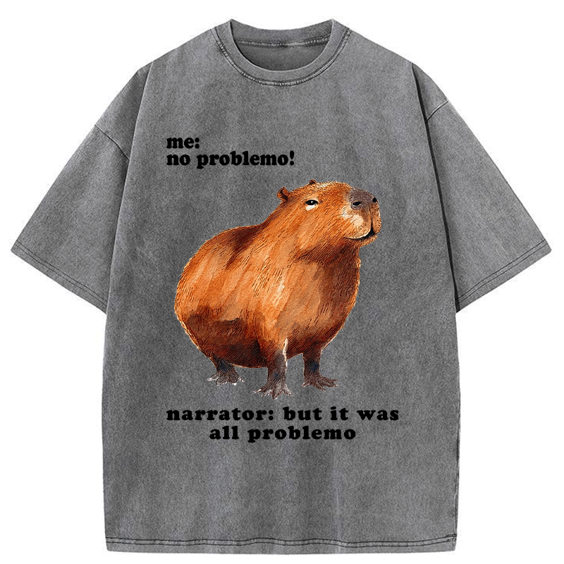 Kyoto-Lion All Problemo, No Panic Washed T-Shirt