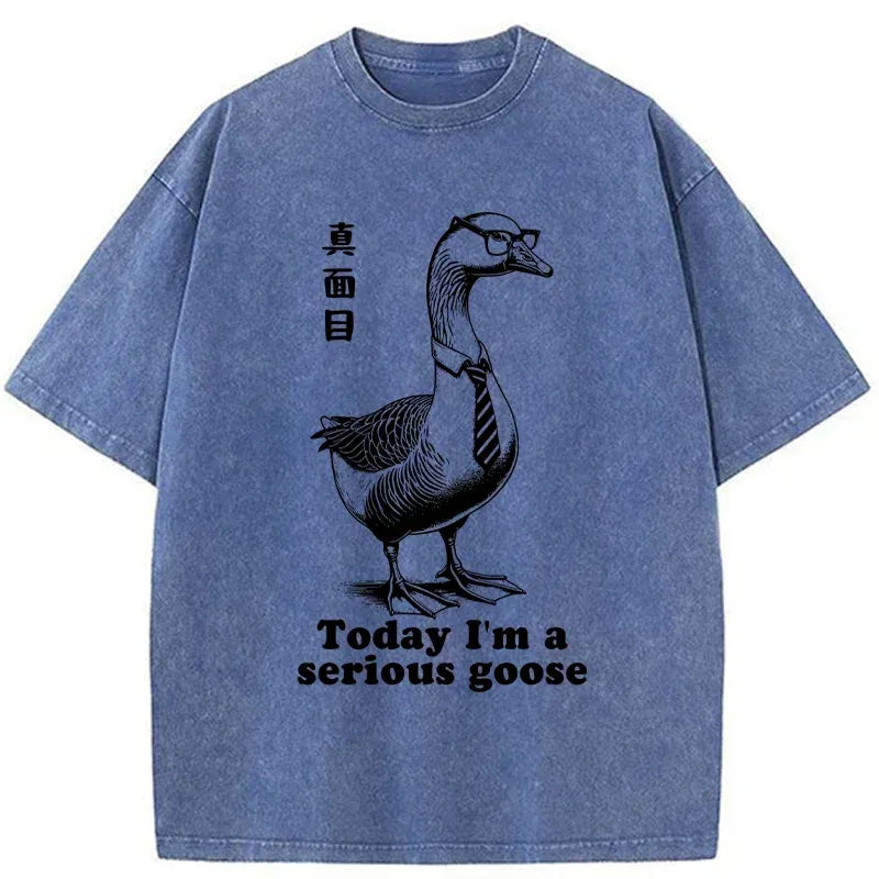 unisex cotton t-shirt for everyday wear