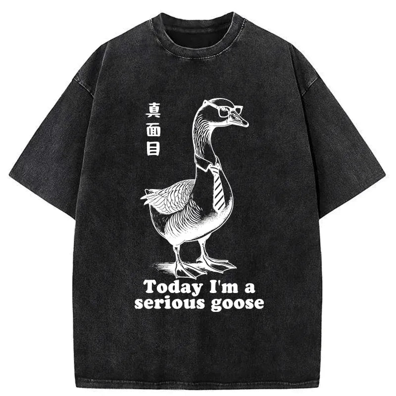 unisex cotton t-shirt for everyday wear