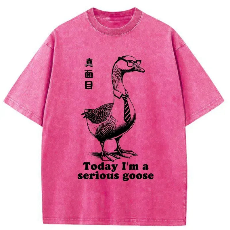 unisex cotton t-shirt for everyday wear