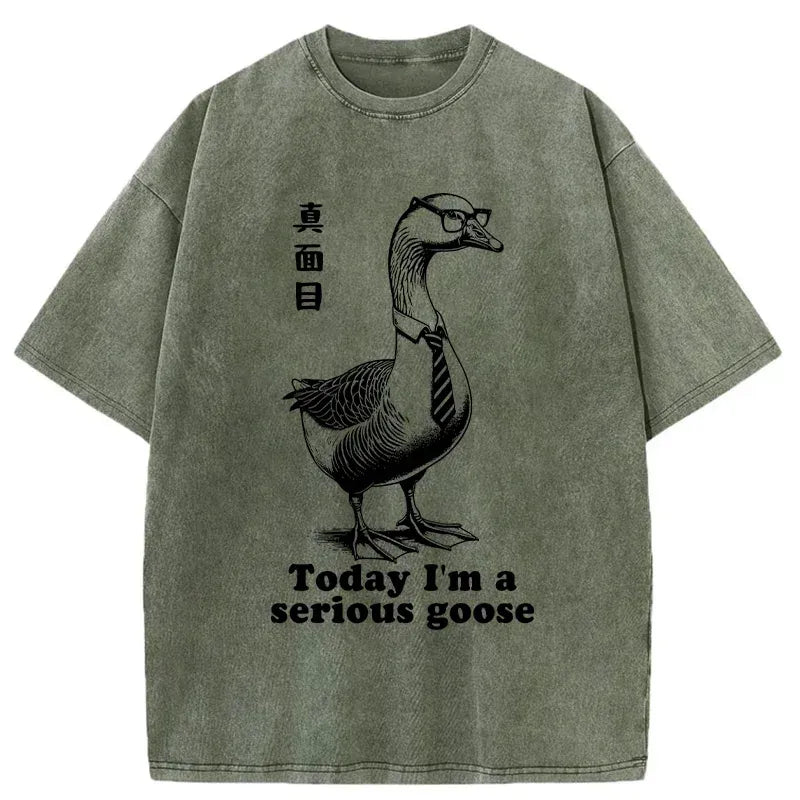 kyoto lion serious goose washed t-shirt