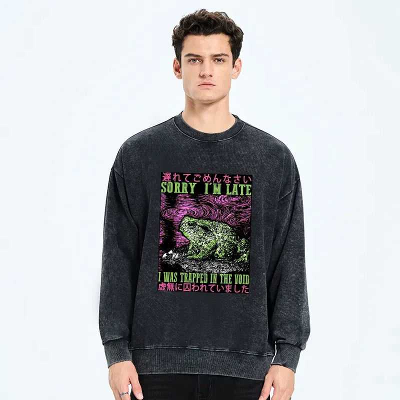 Kyoto-Lion Frogs Trapped In The Void Washed Sweatshirt