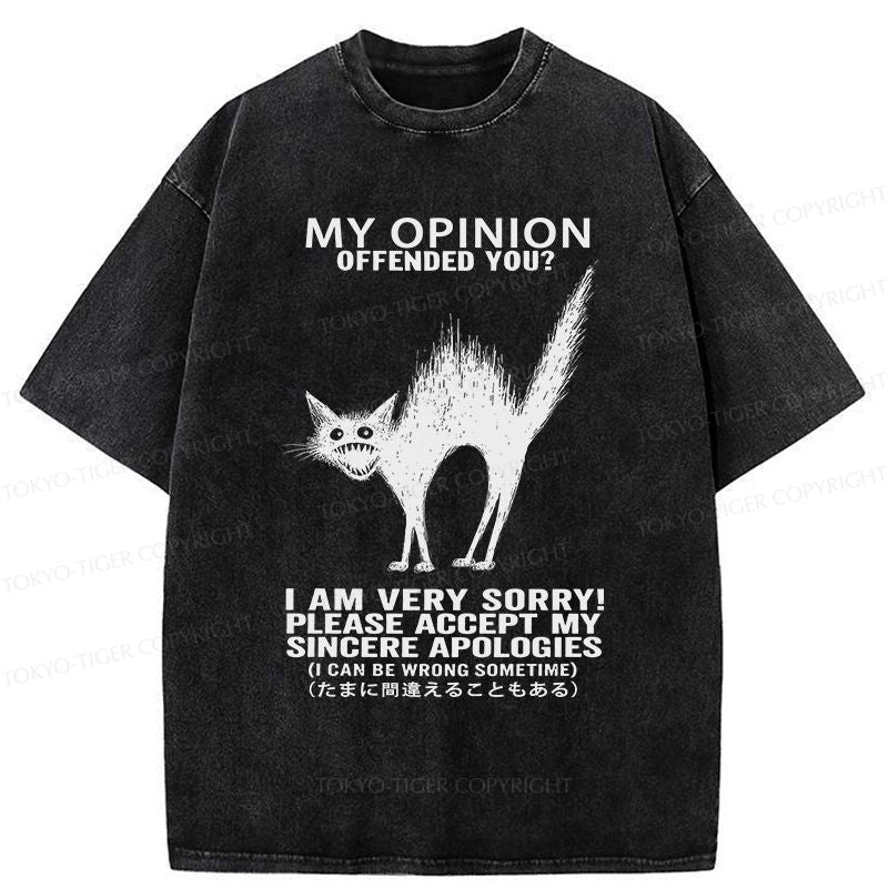 Kyoto-Lion No Offense Cat Washed T-Shirt