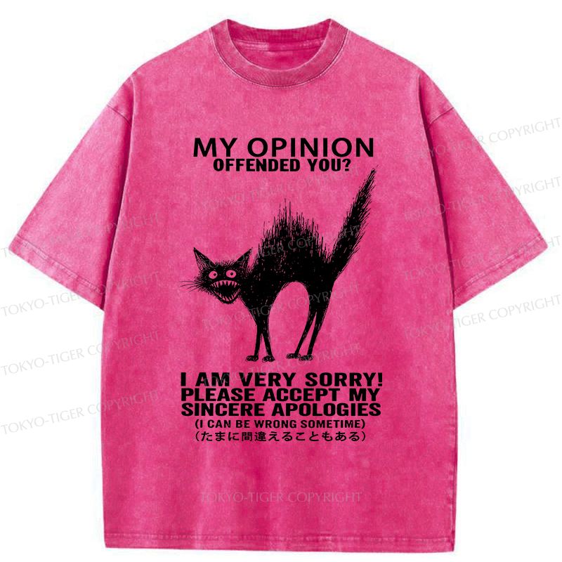 Kyoto-Lion No Offense Cat Washed T-Shirt
