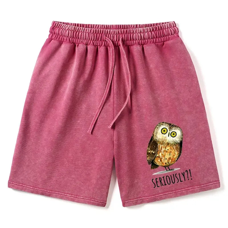 Japanese Meme Owl Shorts Gift Idea