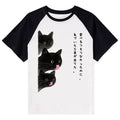 Kyoto-Lion Cats Who Forgot They Stuck Tongues Out Raglan T-shirt
