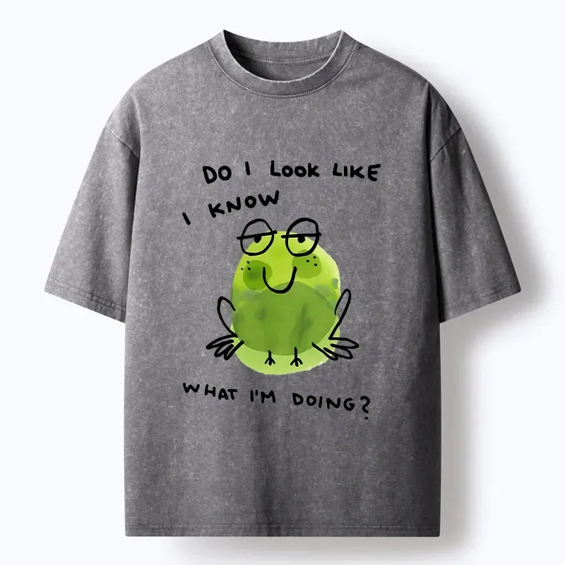 kyoto lion frog t-shirt best seller