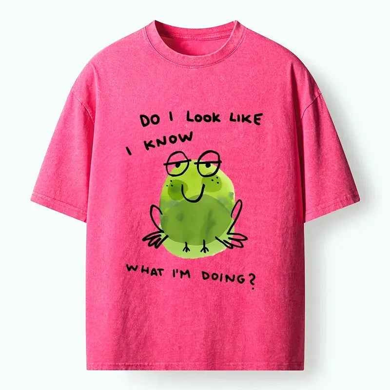 kyoto lion frog t-shirt best seller
