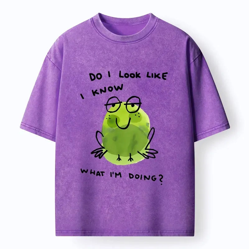kyoto lion frog t-shirt best seller