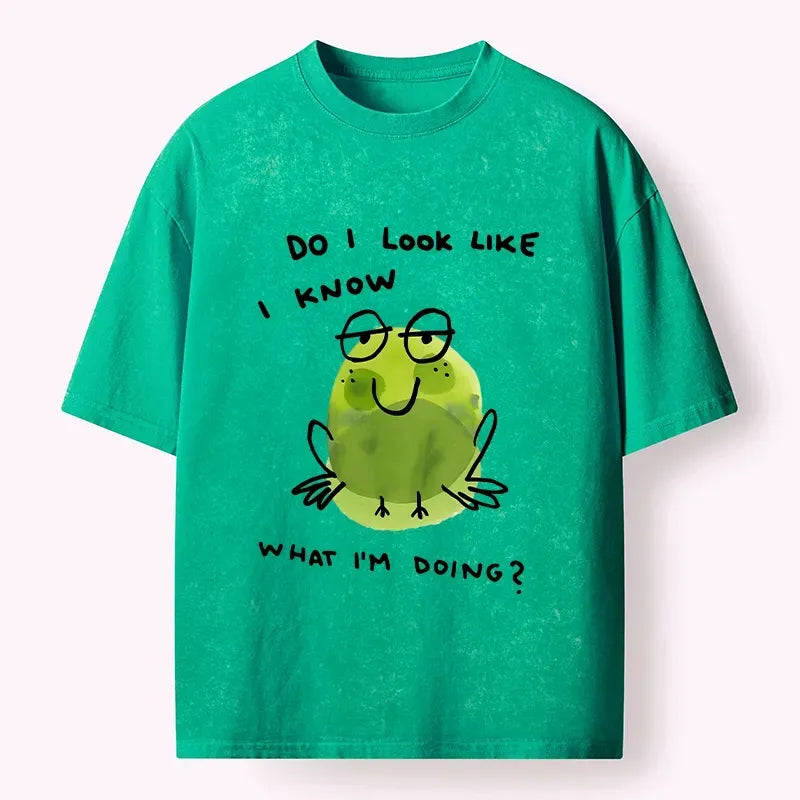 kyoto lion frog t-shirt best seller