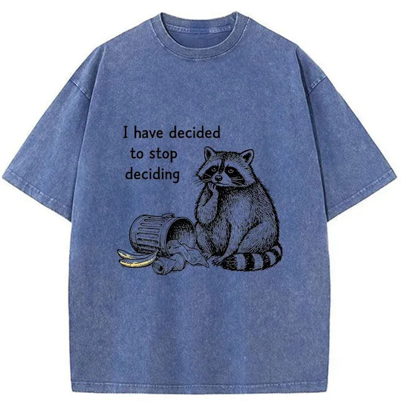 Kyoto-Lion Raccoon Stops Making Choices Washed T-Shirt