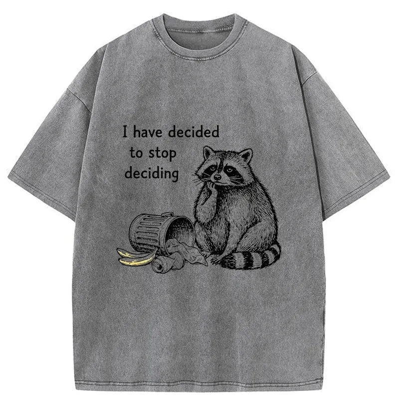 kyoto lion raccoon t-shirt