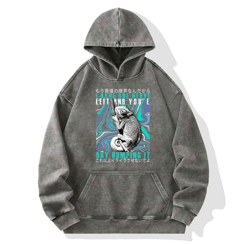 Japanese Washed Hoodie for Casual Wear