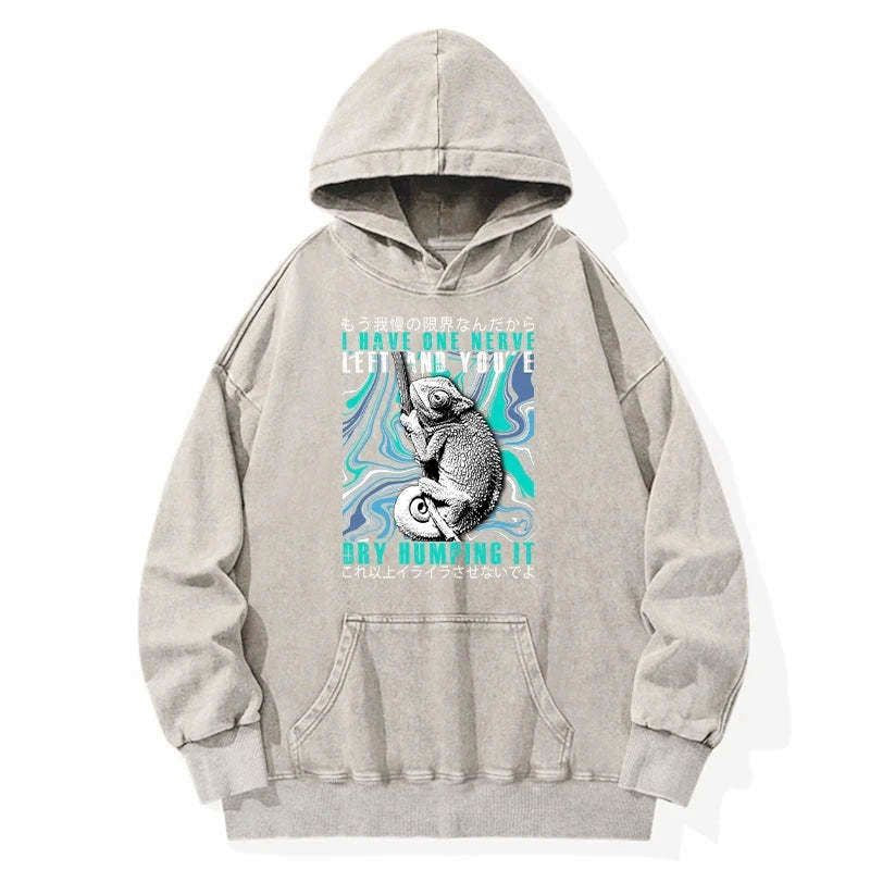 Japanese Washed Hoodie for Casual Wear