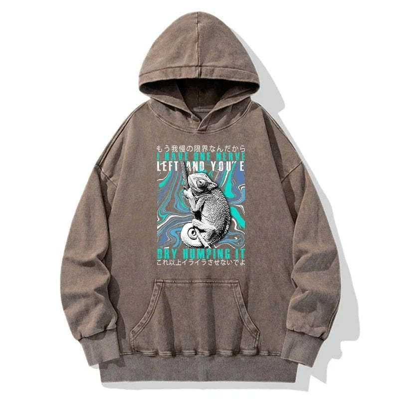 Kyoto-Lion I Have One Nerve Chameleon Washed Hoodie