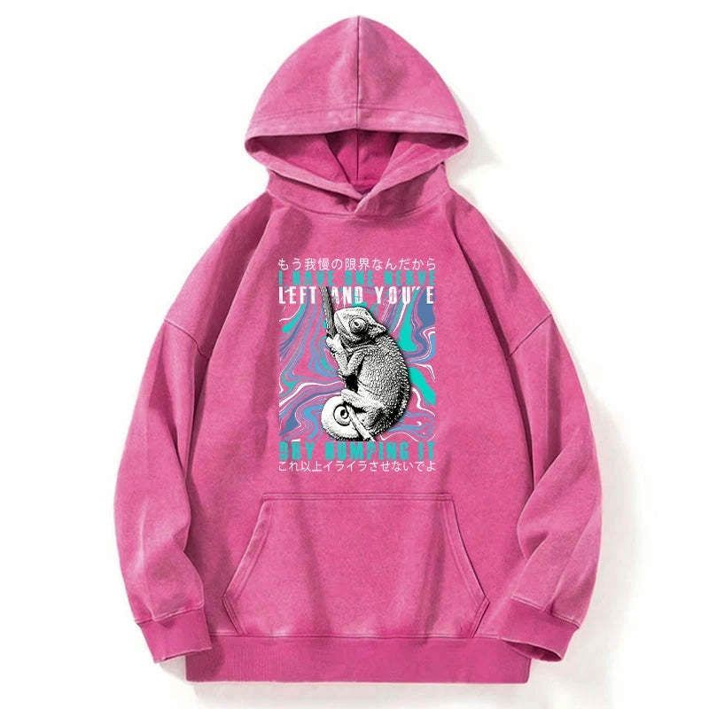Kyoto-Lion Vintage Hoodie Trendy Must-have