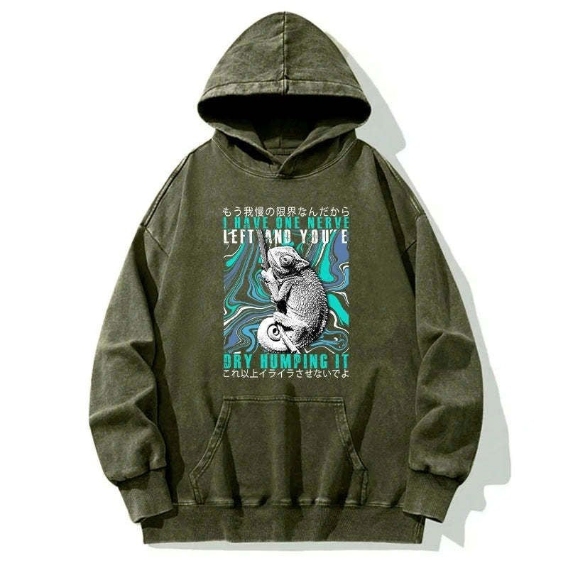 Japanese Washed Hoodie for Casual Wear