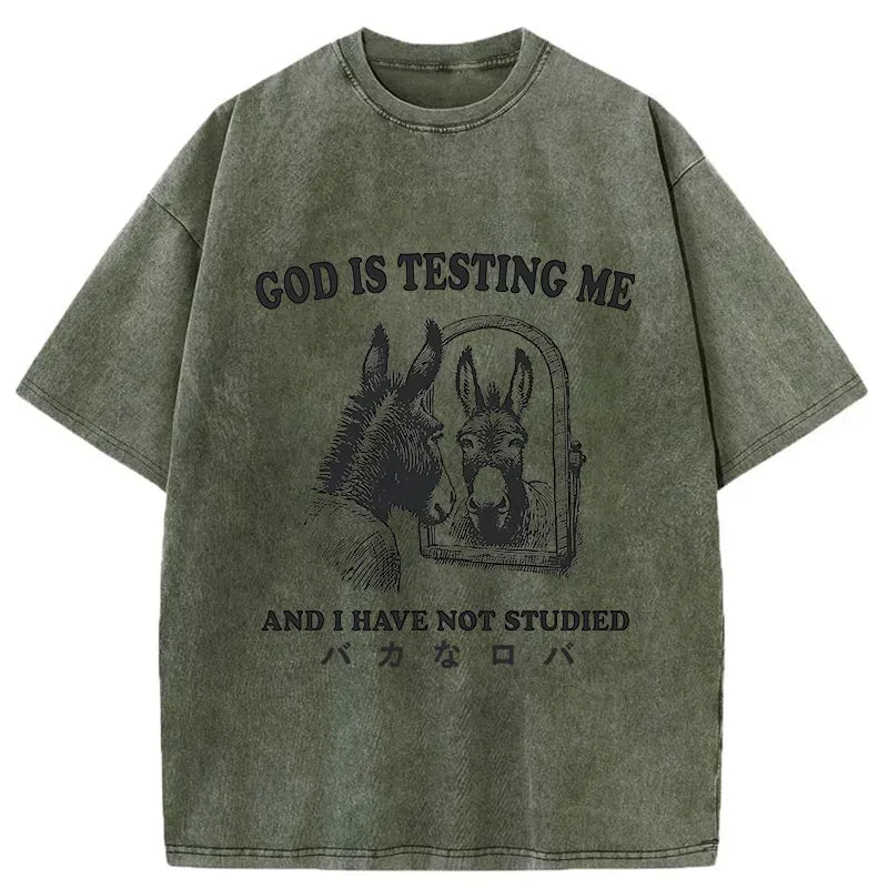 kyoto lion meme tee gift idea
