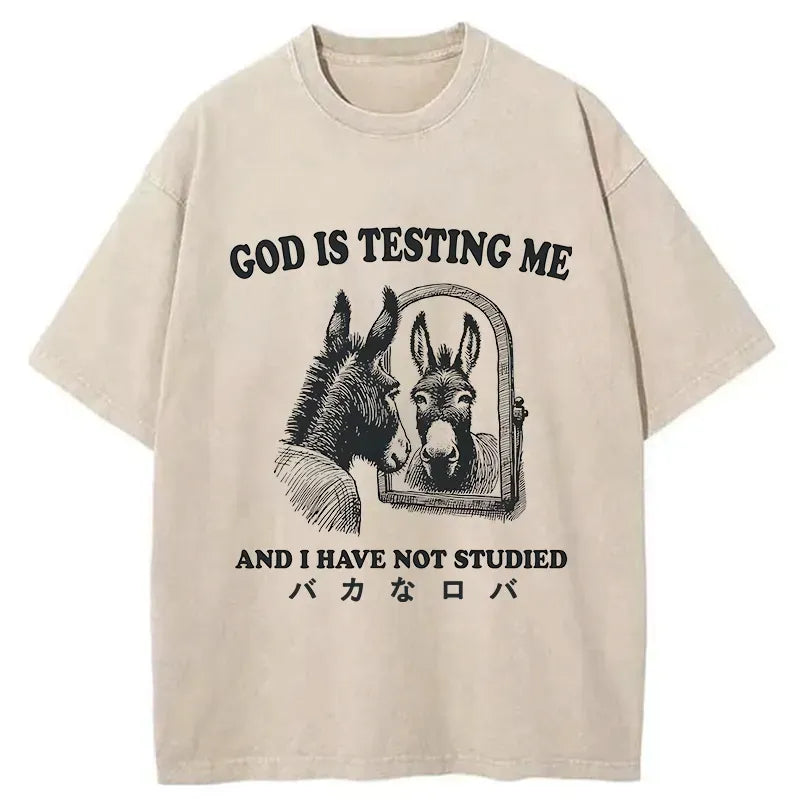 kyoto lion meme tee gift idea