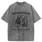 Kyoto-Lion Studied Donkey Meme Washed T-Shirt