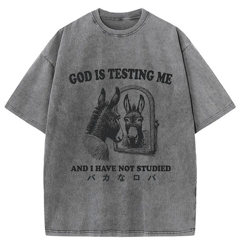 Kyoto-Lion Studied Donkey Meme Washed T-Shirt