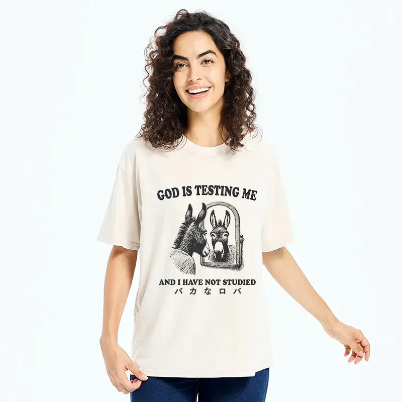 Kyoto-Lion Studied Donkey Meme Washed T-Shirt