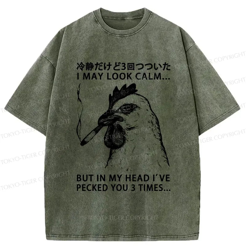 Kyoto-Lion I May Look Calm Washed T-Shirt