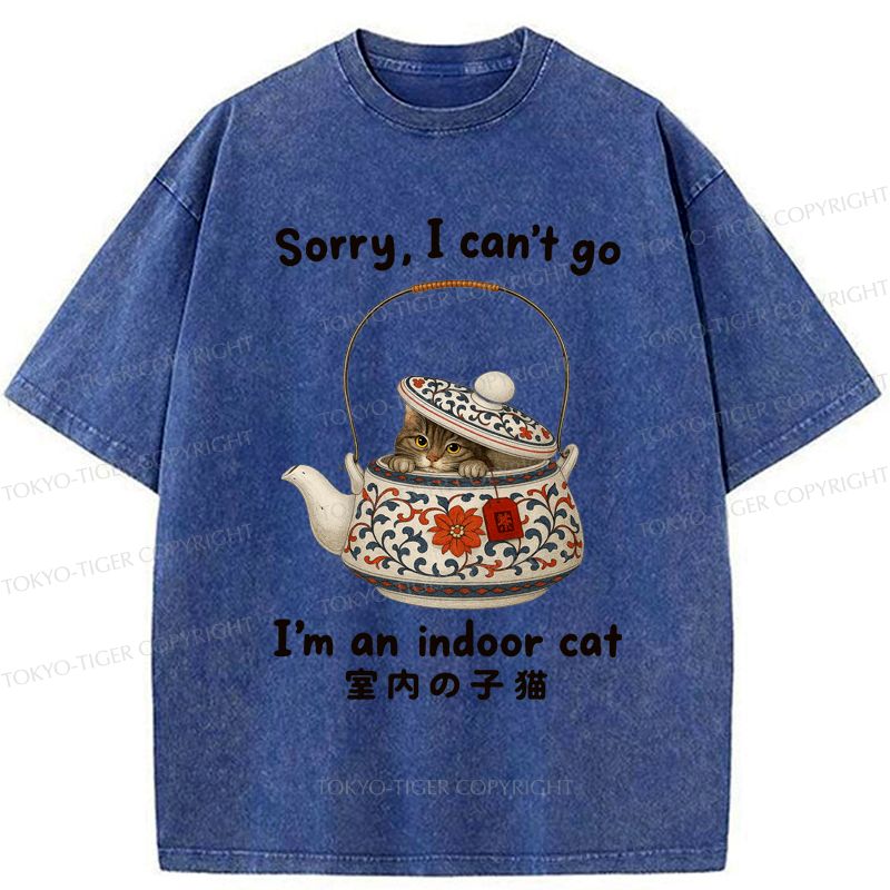 Washed cat t-shirt limited edition