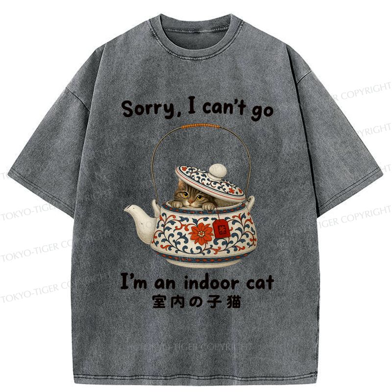 Washed cat t-shirt limited edition