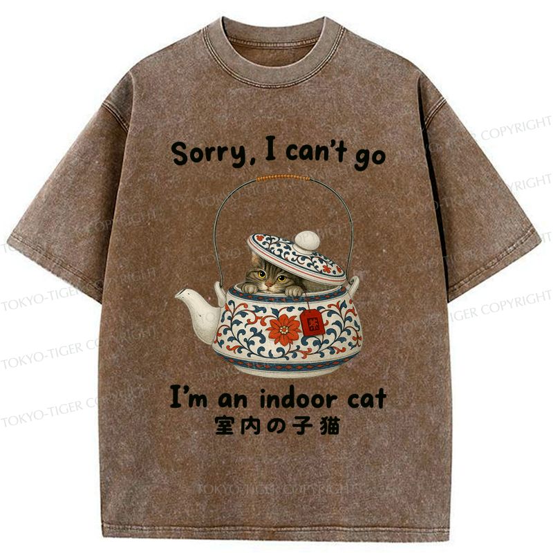 Washed cat t-shirt limited edition